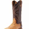 Men * | Ariat Mens Broncy Antique Saddle Fq Ostrich 12 In Top Cowboy Boot