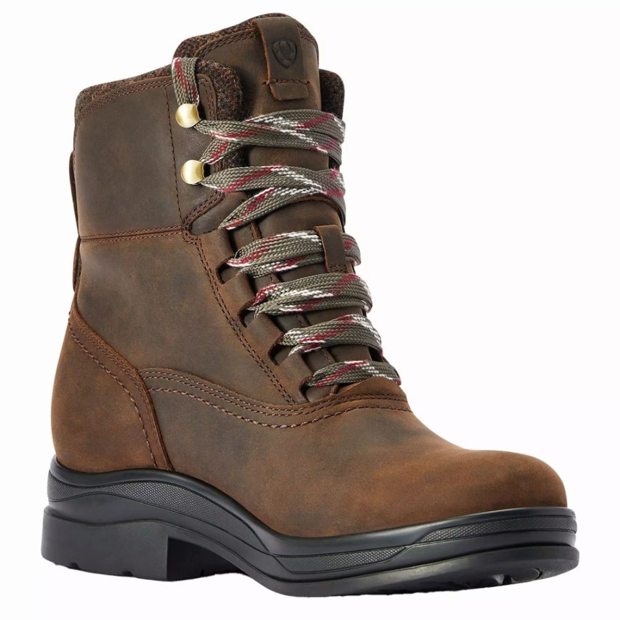 Women * | Ariat Women'S Chocolate H20 Harper Boot