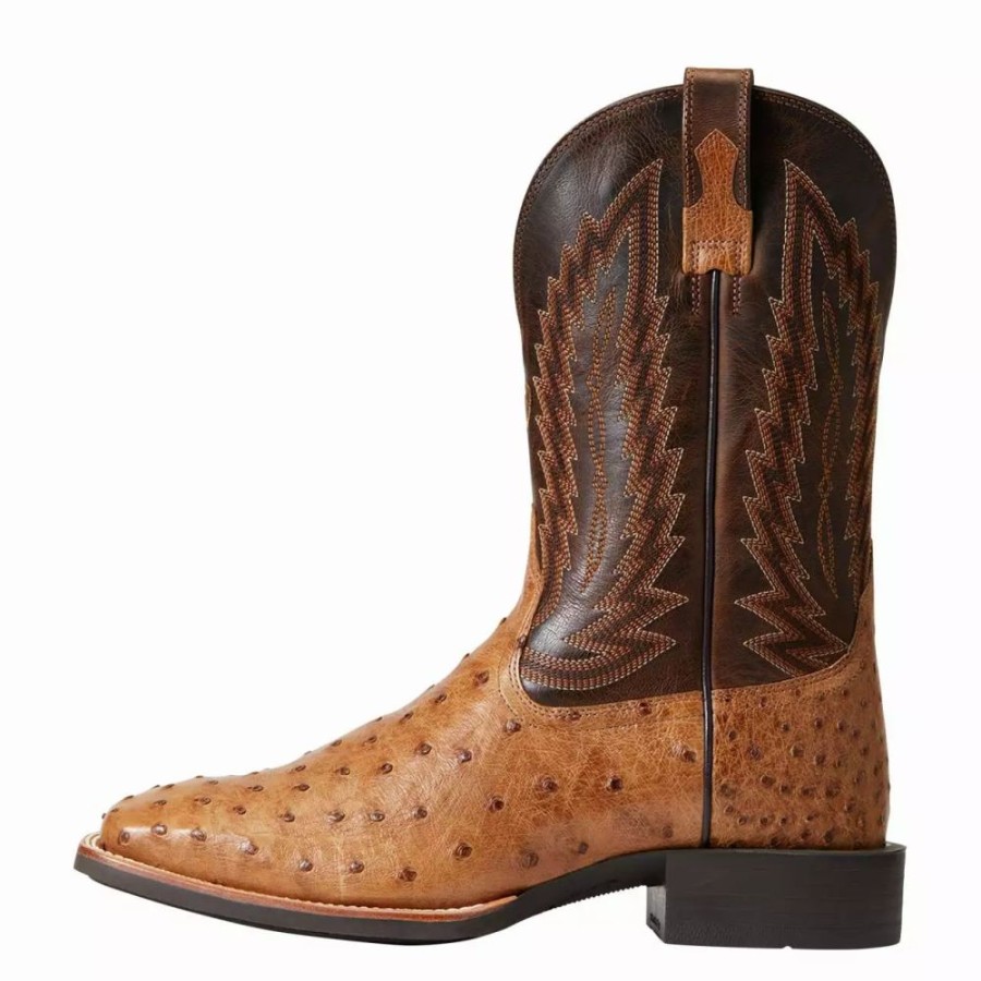 Men * | Ariat Men`S Quantum Primo Ranger Fq Ostrich 11` Beam Brown Top Square Toe Boots